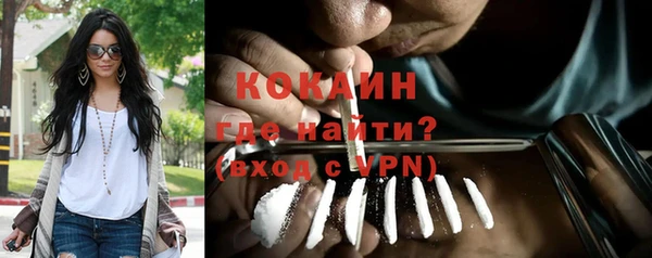 индика Верея