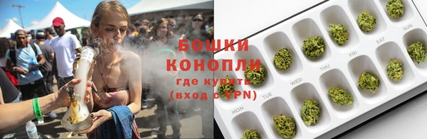 индика Верея