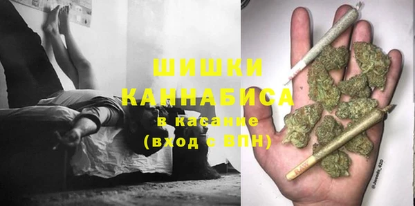 индика Верея