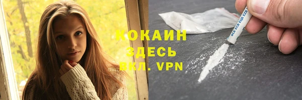 индика Верея
