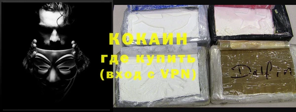 индика Верея