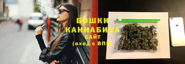 индика Верея