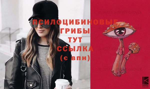 альфа пвп Верхнеуральск